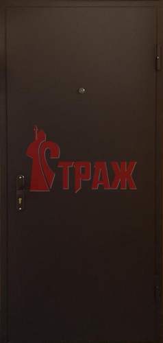 фото стальной двери с порошковым напылением